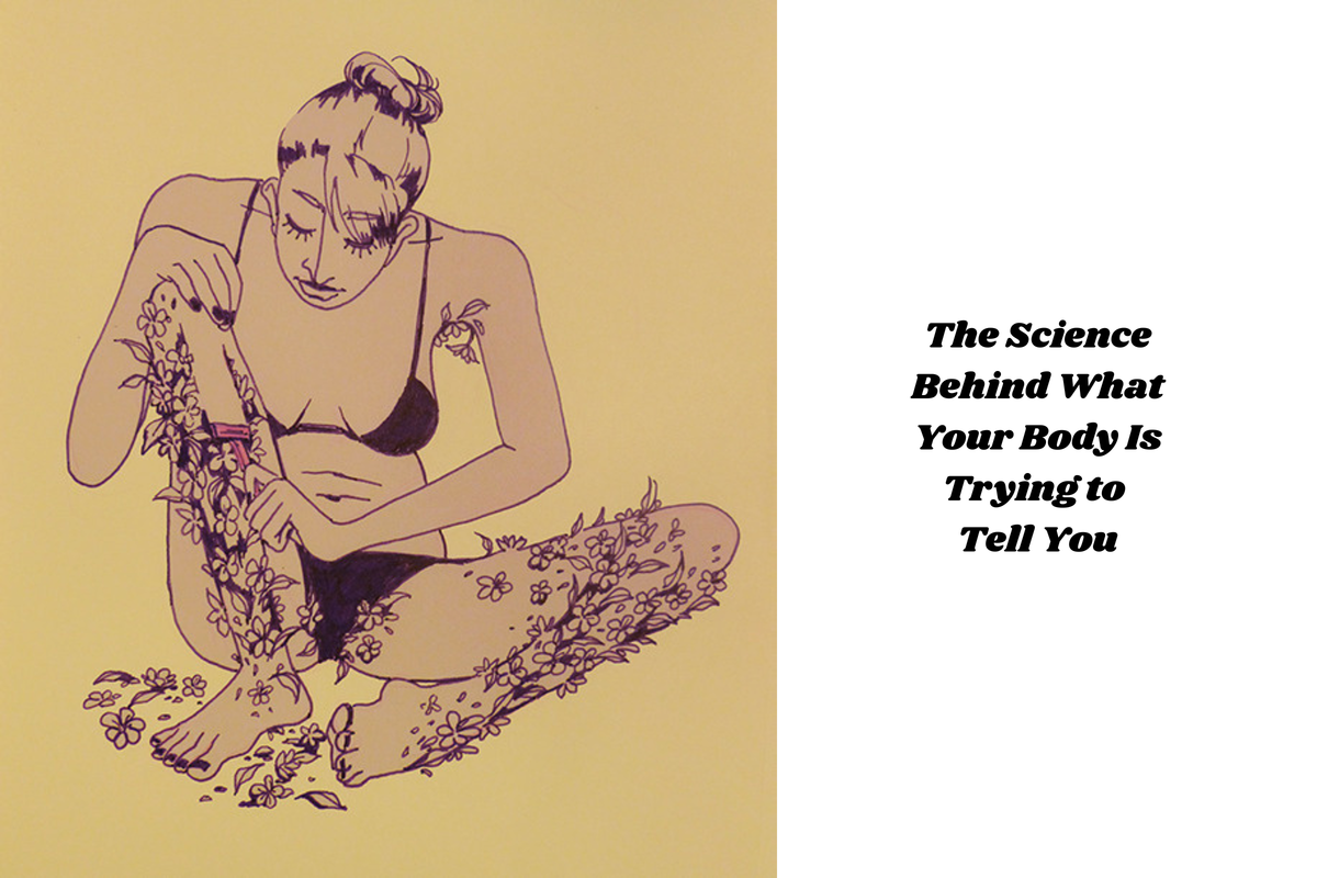 Why Some Women Have More Body Hair Than Others