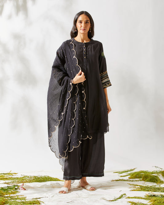 APPLIQUE SLEEVES KURTA SET by devyanimehrotra.com with at Kamakhyaa for sustainable fashion