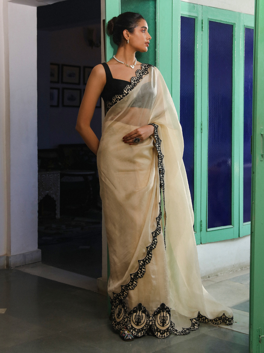 Pasbaan Saree Set by RoohbyRidhimaa with Large, Medium, Small, X-Large, X-Small at Kamakhyaa for sustainable fashion