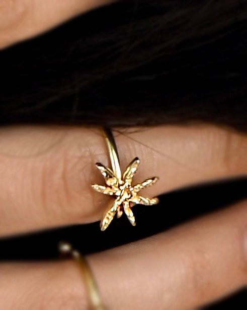 Gold Brass Cinnamon Star Ring by The Loom Art with Brass, Cosmic Dream by The Loom Art, Fashion Jewellery, For Daughter, Free Size, Gold, Gold Plated, jewelry, Less than $50, Natural, Products less than $25, Rings, Textured at Kamakhyaa for sustainable fashion